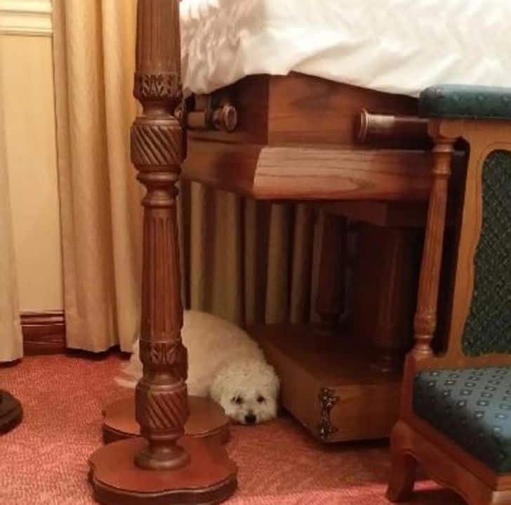 szeretni és szeretve lenni a legnagyobb boldogság a világon9