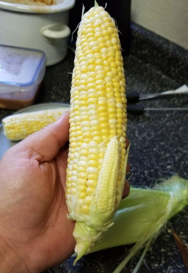 1628920509_1230019098995234.jpg