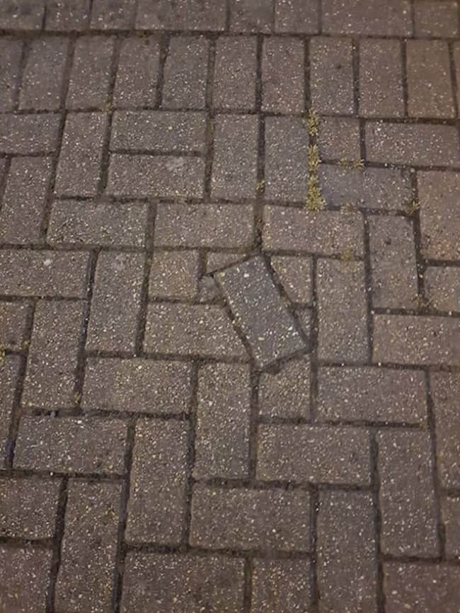 1144640600_1643727081900093.jpg