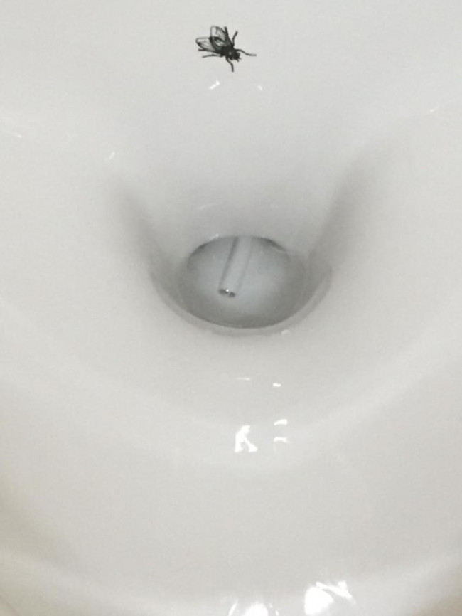 387954986_2100782923000822.jpg