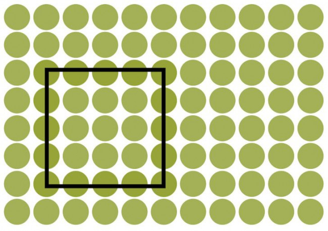 86201825_1660006082699540.jpg