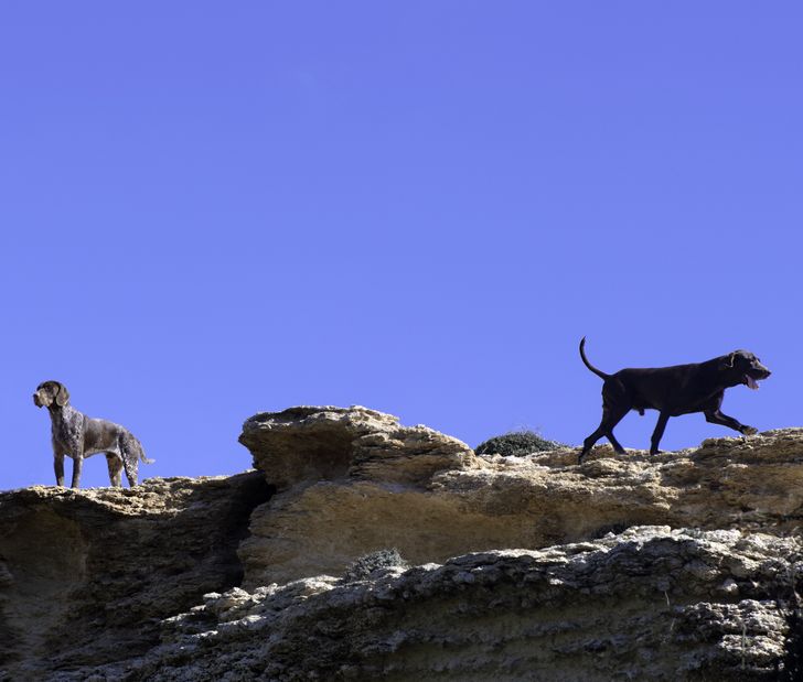 e8824e5eeb86eb49ffd987e6e9