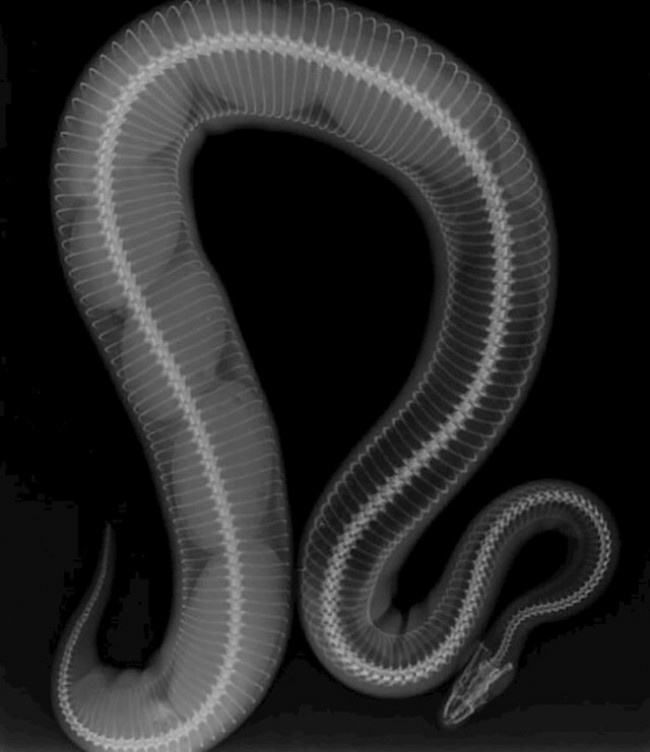 1882312995_1572200067464025.jpg