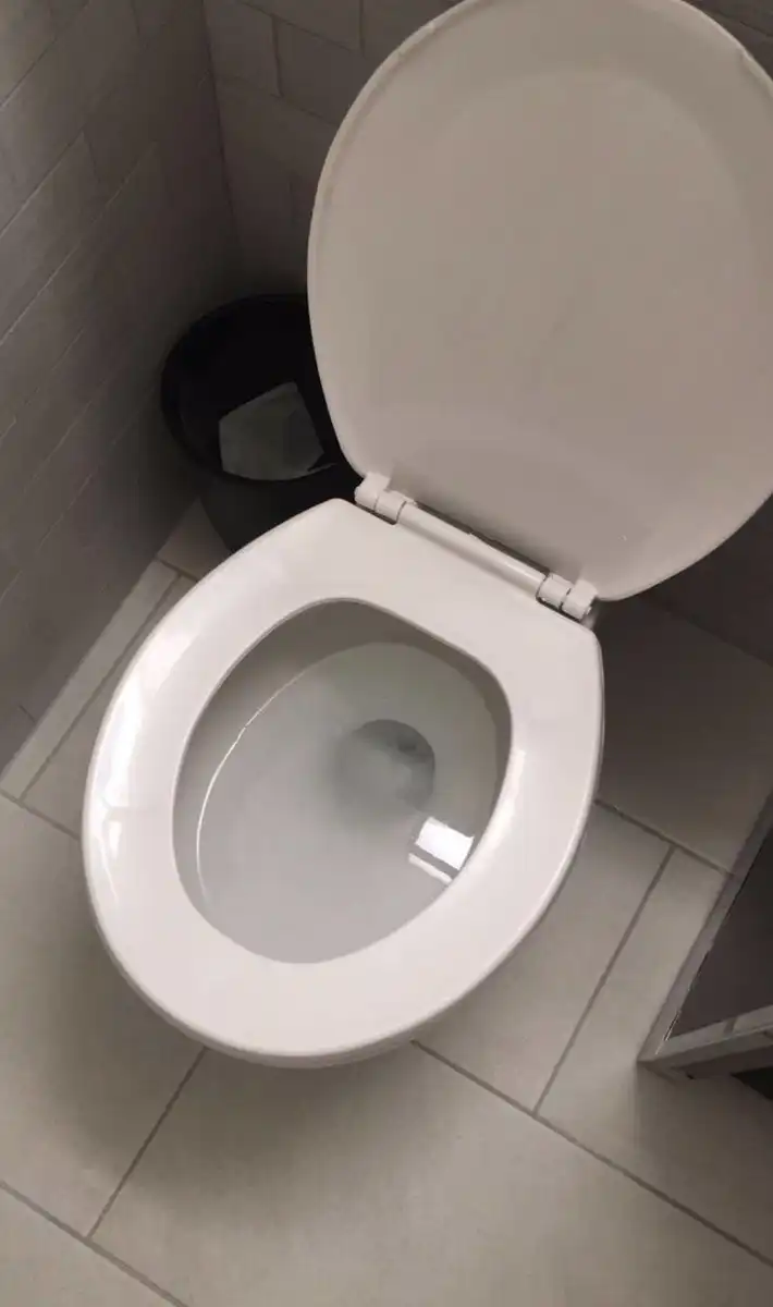 Miért nincs WC kefe az amerikai otthonokban? (és soha nem is volt) amerika, amerikai szokások, csatornarendszer, érdekességek, fürdőszoba, higiénia, illemhely, kultúrális különbségek, lakberendezés, szifon, utazási tippek, WC, WC kefe, WC típusok